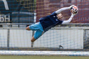 Bild 112 - wBJ Hamburger SV - FC Suederelbe : Ergebnis: 9:0
